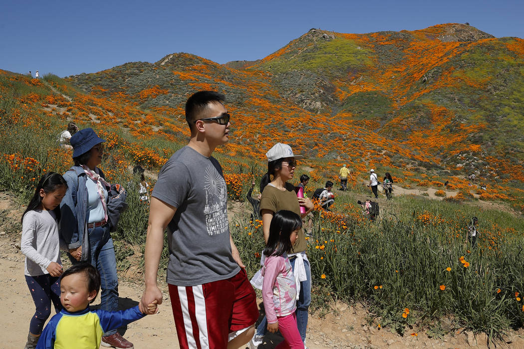 People walk among wildflowers in bloom Monday, March 18, 2019, in Lake Elsinore, Calif. About 150,000 people flocked over the weekend to see this year's rain-fed flaming orange patches of poppies ...