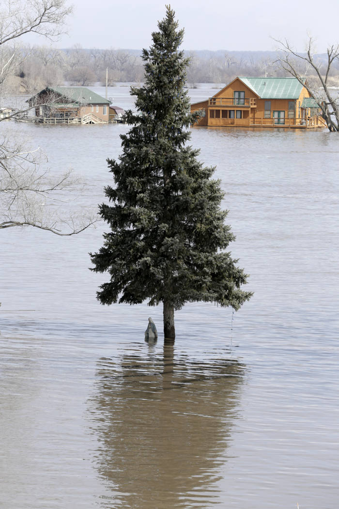 A statue of the Virgin Mary is seen under a tree in the flood waters of the Platte River in Plattsmouth, Neb., Sunday, March 17, 2019. Hundreds of people remained out of their homes in Nebraska, b ...