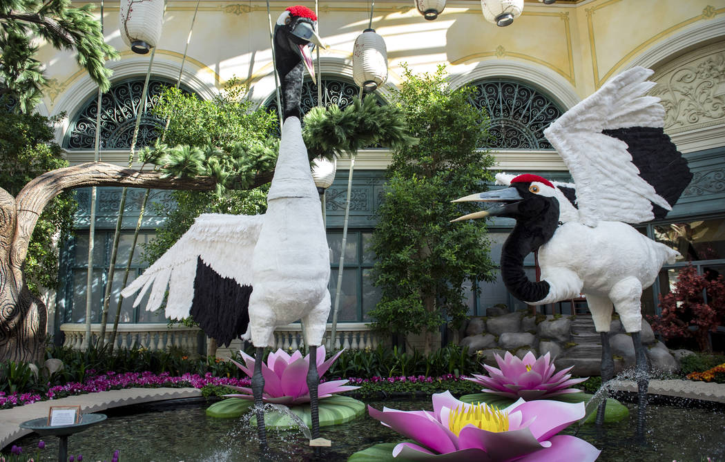 The Bellagio showcases its spring display at the Bellagio Conservatory & Botanical Gardens in Las Vegas, Monday, March 18, 2019. (Caroline Brehman/Las Vegas Review-Journal) @carolinebrehman