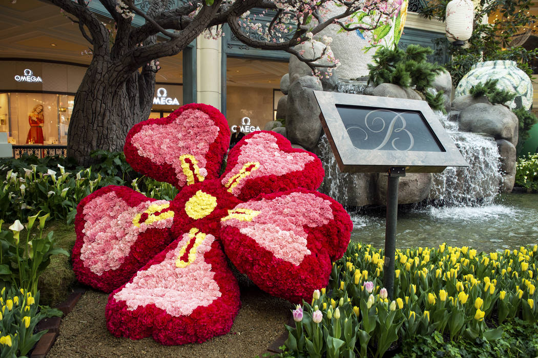 The Bellagio showcases its spring display at the Bellagio Conservatory & Botanical Gardens in Las Vegas, Monday, March 18, 2019. (Caroline Brehman/Las Vegas Review-Journal) @carolinebrehman
