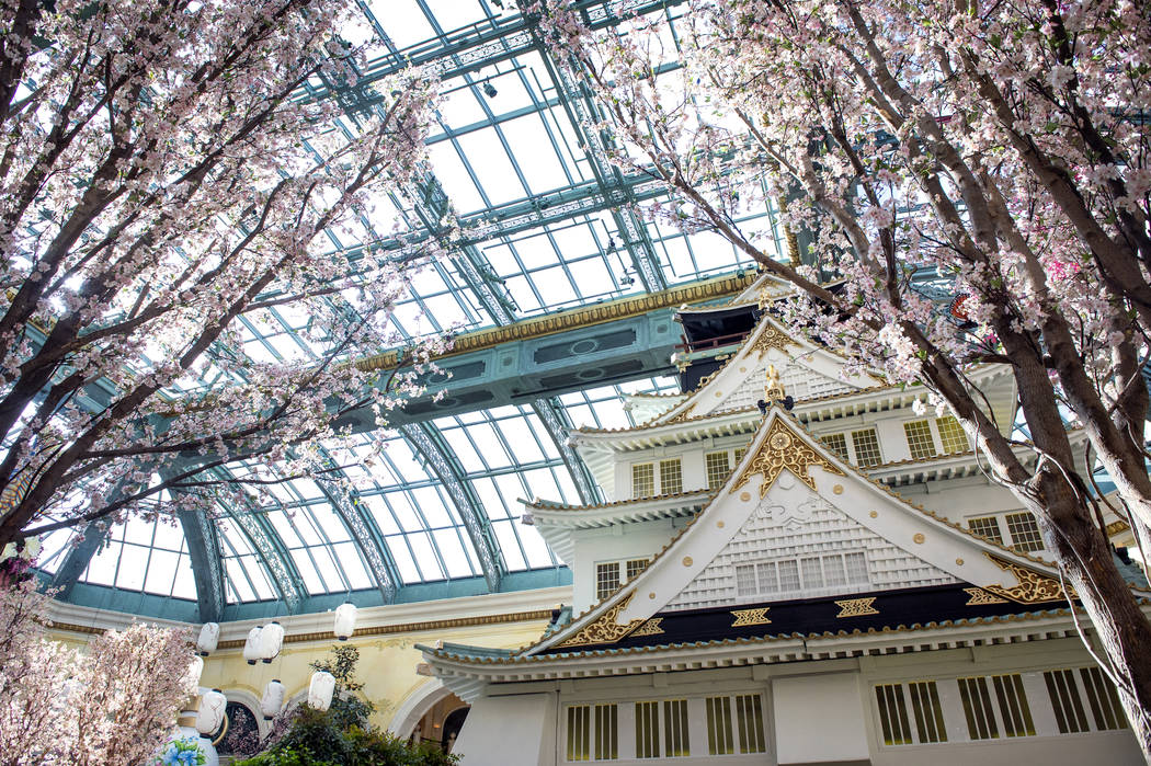 The Bellagio showcases its spring display at the Bellagio Conservatory & Botanical Gardens in Las Vegas, Monday, March 18, 2019. (Caroline Brehman/Las Vegas Review-Journal) @carolinebrehman