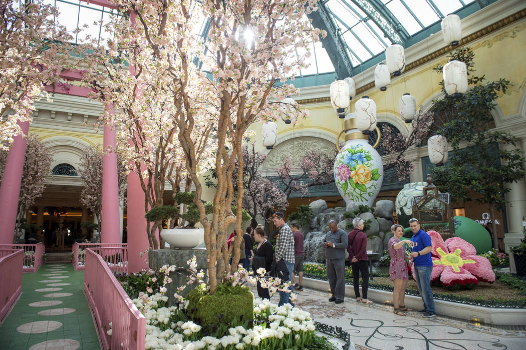 The Bellagio showcases its spring display at the Bellagio Conservatory & Botanical Gardens in Las Vegas, Monday, March 18, 2019. (Caroline Brehman/Las Vegas Review-Journal) @carolinebrehman
