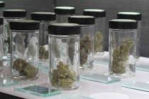 Different strains of marijuana (Scott Sonner/AP)