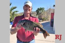 Tim Myers, of Las Vegas, hoists the 7.38-pound smallmouth bass that could best the old Lake Mohave smallmouth bass record by nearly a full pound. He caught the fish during a winning effort at the ...