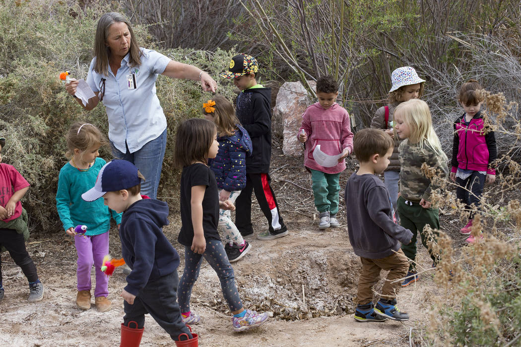 Naturalist Judy Walker leads children around small pits made by beavers during the Nature Tykes program at Clark County Wetlands Park in Las Vegas, Wednesday, March 20, 2019. The program incorpora ...