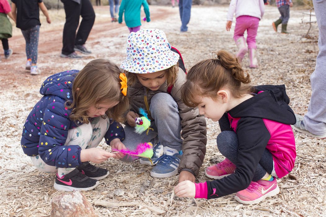 Isabella LaMon, 3, from left, Boone Schmidt, 5, and Alina Velaochaga, 4, look at an owl pellet during the Nature Tykes program at Clark County Wetlands Park in Las Vegas, Wednesday, March 20, 2019 ...