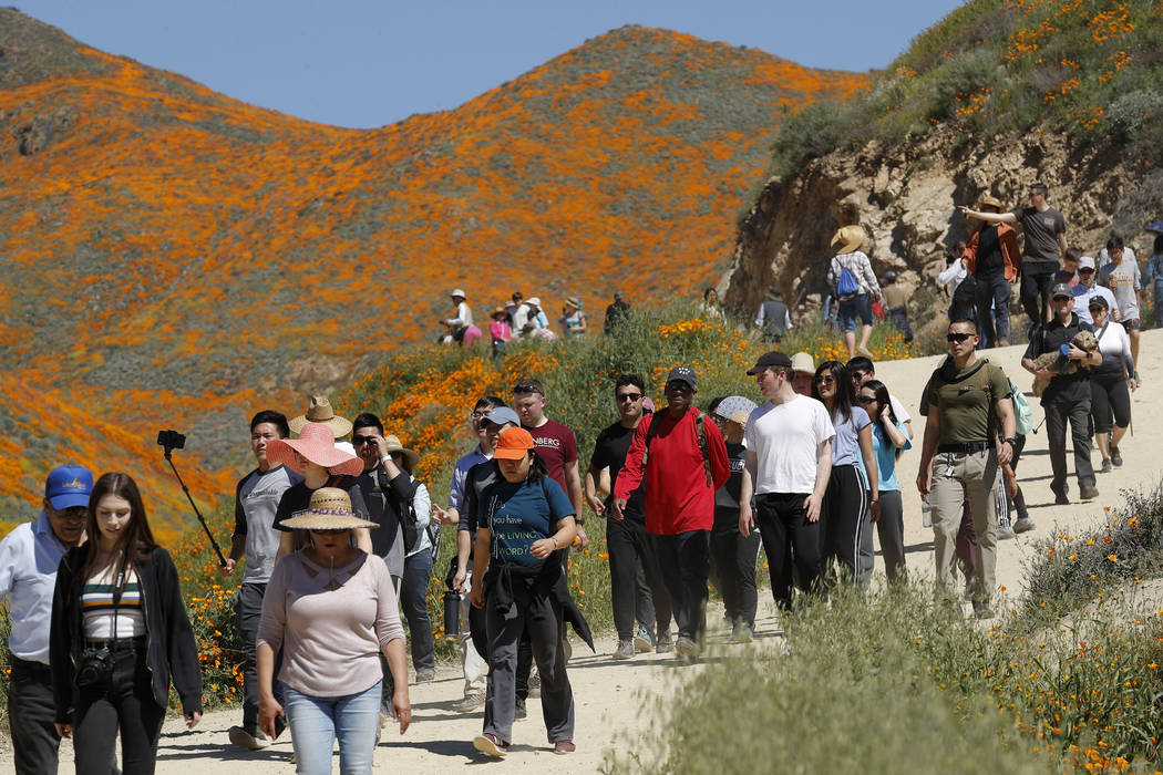 People walk among wildflowers in bloom Monday, March 18, 2019, in Lake Elsinore, Calif. (AP Photo/Gregory Bull)