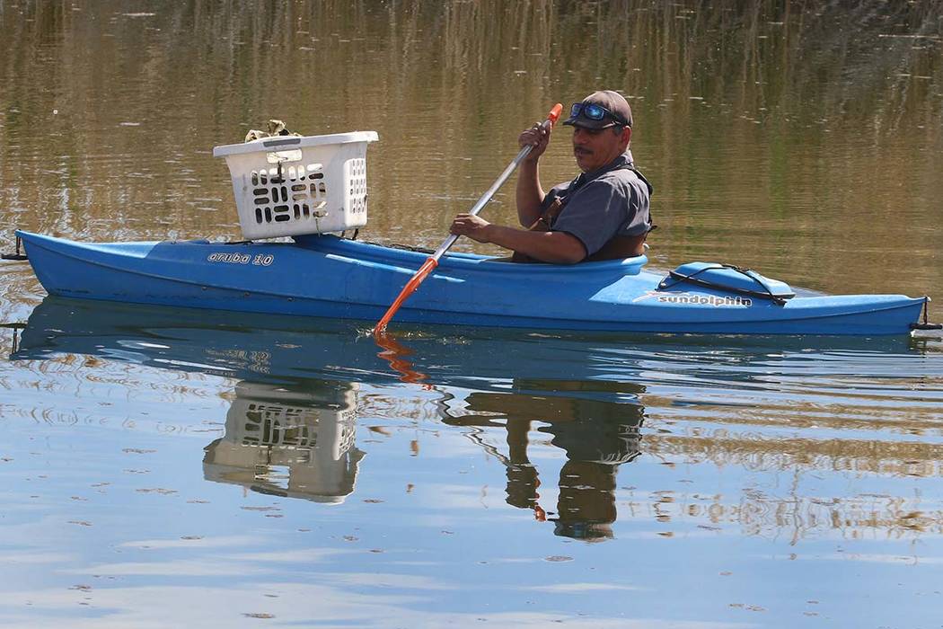 A man, who declined to give his name, kayaks as he collects trash from the lake at Cornerstone Park last week in Henderson. The warmest day of 2019 so far in the Las Vegas Valley is expected Tuesd ...