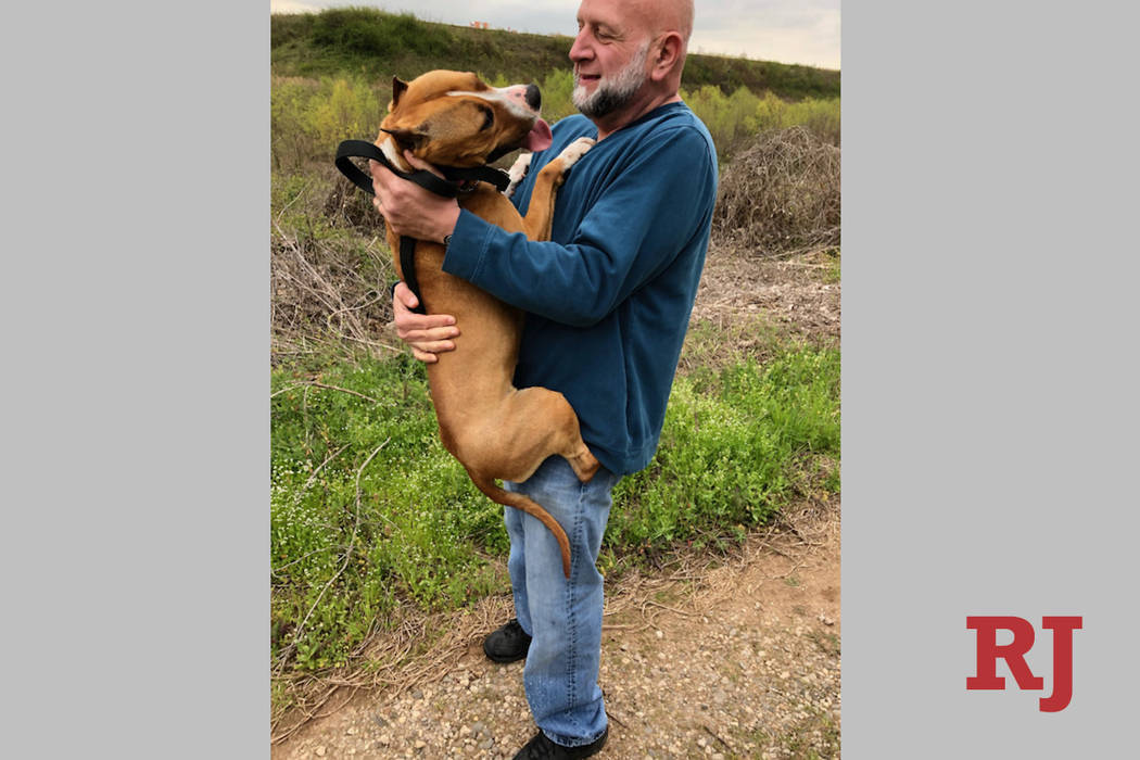 Floris van Essen reunited with his dog named Gale. (@ATLairport/Twitter)
