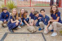 Members of the Tortoise Team at Doral Academy Red Rock Elementary School welcome Rocky the tort ...