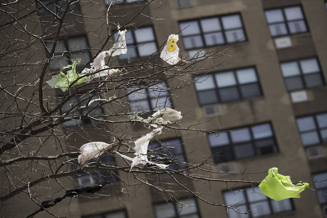 Plastic bags are seen stuck to the branches of a tree in the East Village neighborhood of Manha ...