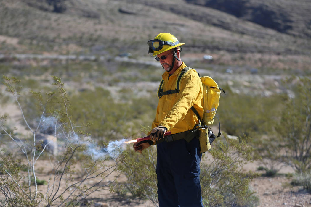 Dave Wagner, firefighter for Station 70 in Trout Canyon, uses a fusee during a training session ...