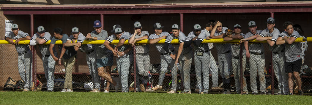 Palo Verde players line the dugout fence while cheering on their batter versus Faith Lutheran d ...