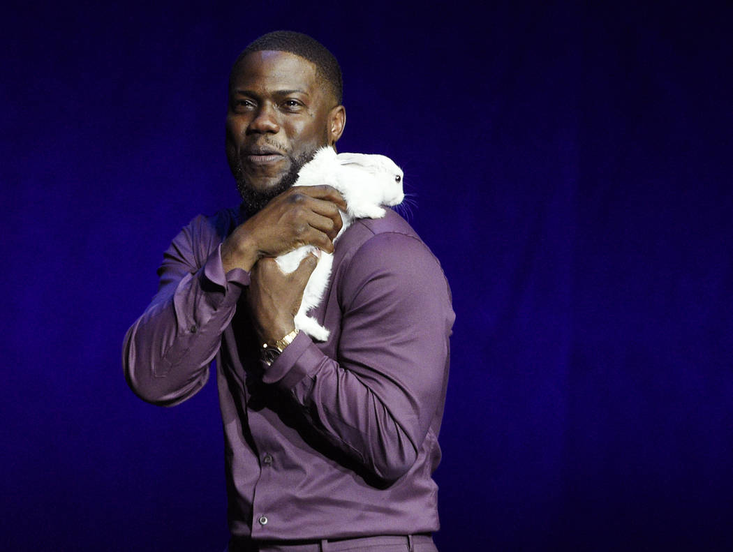 Kevin Hart, who voices a character in the upcoming animated film "The Secret Life of Pets ...