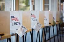 Voting booths (Getty Images)