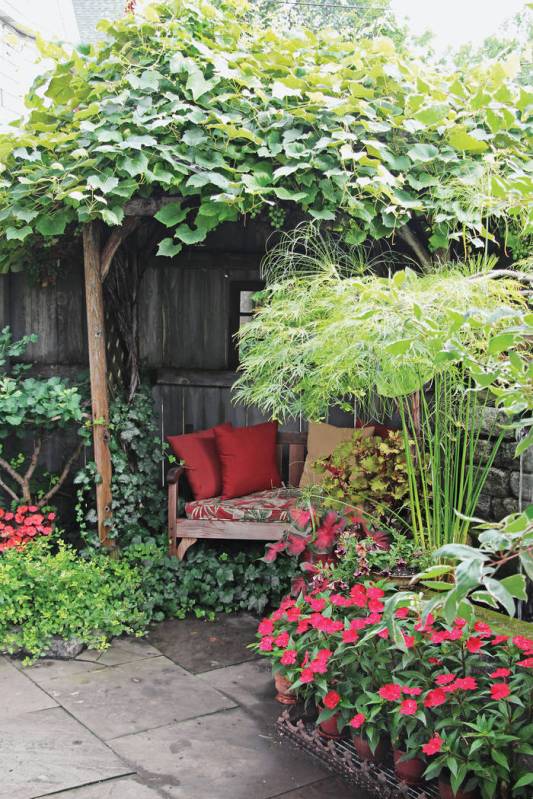 Pergolas covered by vining crops such as these hardy grapes are fabulous for creating a private ...