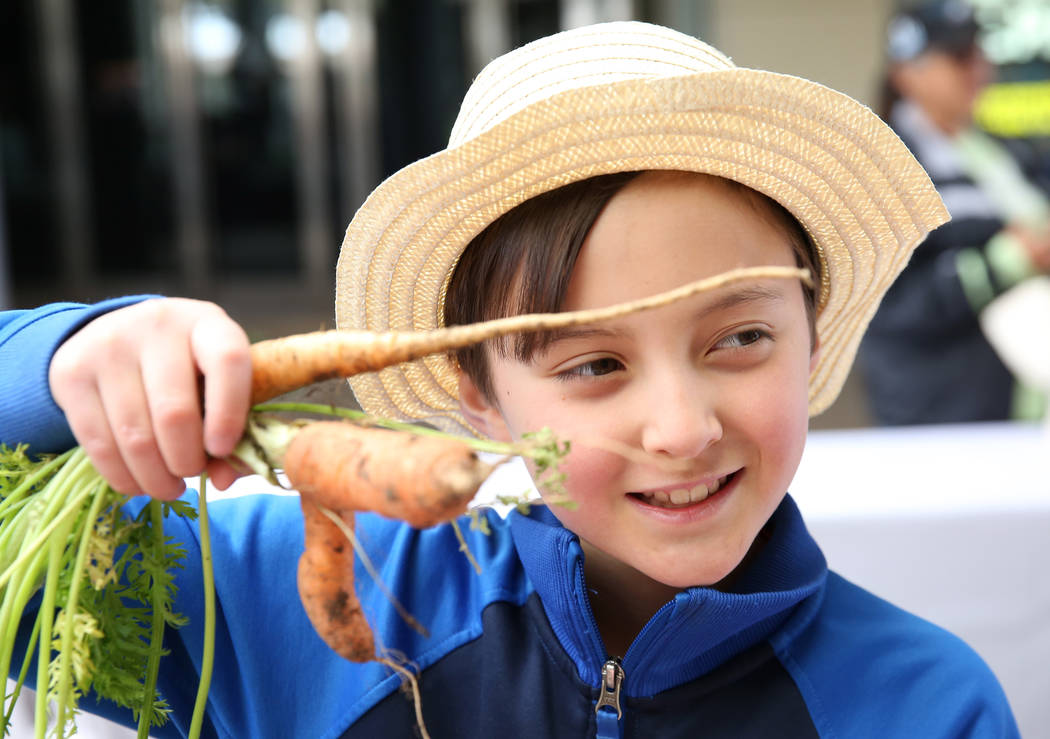 Doral Academy student Carter Kakita, 9, displays his carrots at Green Our Planet's Giant Studen ...