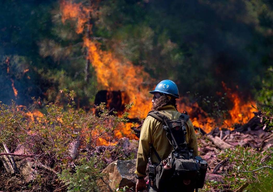 In this Sept. 4, 2018, photo, Tyler Medders of the Susanville Hot Shots keeps an eye out for em ...