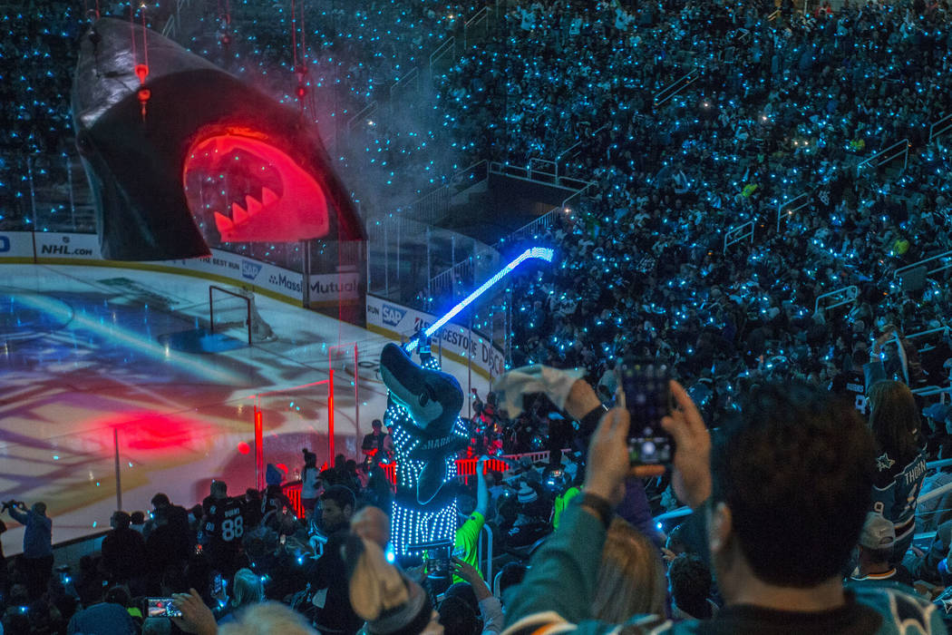 The massive shark head San Jose players skate through before hitting the ice is lowered at SAP ...