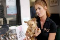 Foster Coordinator Shelby Haycock holds Fetty, a dog she adopted from work, as she speaks to th ...