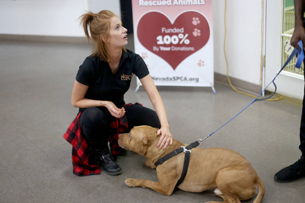 Foster Coordinator Shelby Haycock pets Gunner next to Kettle Manager Dwane Crawford at the Neva ...