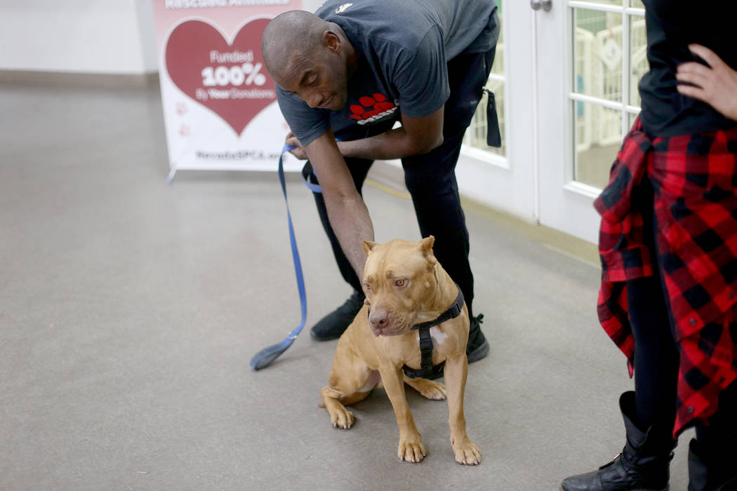 Kettle Manager Dwane Crawford pets Gunner at the Nevada Society for the Prevention of Cruelty o ...