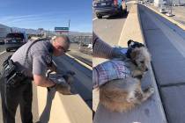 Nevada Highway Patrol troopers rescued a dog on a Las Vegas freeway interchange on Thursday mor ...