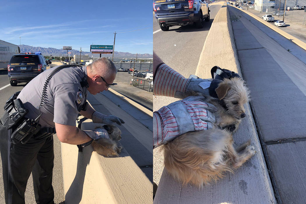 Nevada Highway Patrol troopers rescued a dog on Interstate 15 near Washington Avenue in Las Veg ...