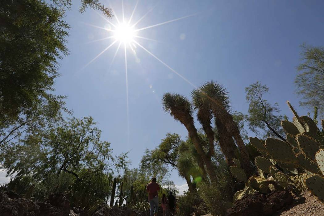 People visit Ethel M Chocolates' Botanical Cactus Garden in Henderson, Sunday, Aug. 19, 2018. C ...