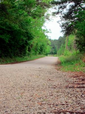This April 12, 2019, photo shows a section of Huff Creek Road in Jasper, Texas, where James Byr ...