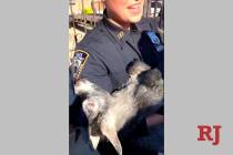 In this April 24, 2019 image made from video provided by the NYPD, a New York City police offic ...