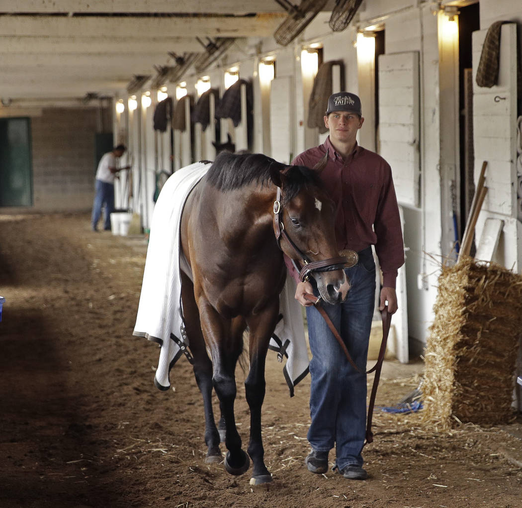 Kentucky Derby hopeful Omaha Beach is walked in his barn after a workout at Churchill Downs Tue ...