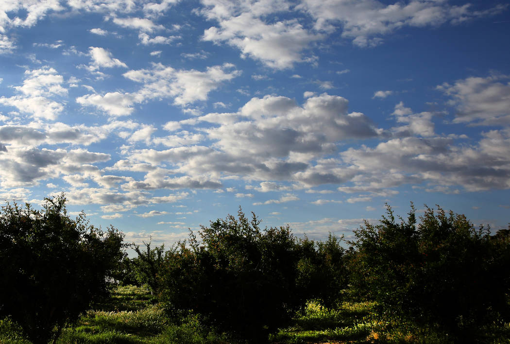 Clouds hover over Gilcrease Orchard on Wednesday, May 1, 2019, in Las Vegas. (Bizuayehu Tesfaye ...