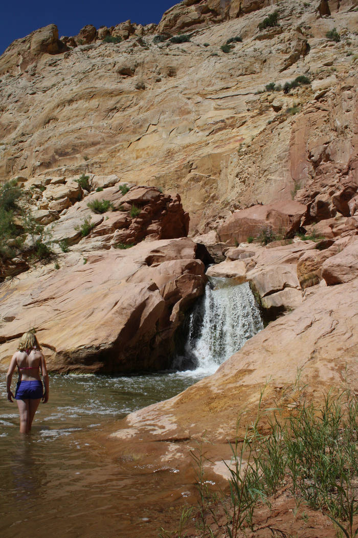 A small waterfall can be found along the Fremont River on Utah Route 24 in Capitol Reef Nationa ...