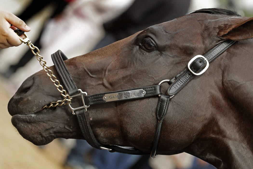 Kentucky Derby entrant Game Winner is held by a worker after a workout at Churchill Downs Wedne ...