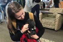 Sydney Werwinsky cuddles Teddy, a small poodle, at the Love Dog Adventures at CSN Charleston li ...