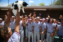 Desert Oasis' D.J. Jefferson (16) holds up Cali the cat after their win against Las Vegas in th ...