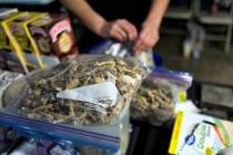 A vendor bags psilocybin mushrooms at a pop-up cannabis market in Los Angeles on Monday, May 6, ...