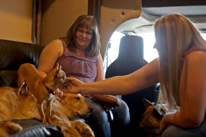 Animal rescue activist Asher House makes Las Vegas visit Las Vegas ReviewJournal