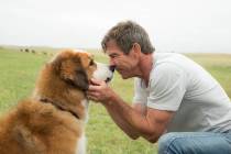 This image released by Universal Pictures shows Dennis Quaid with a dog, voiced by Josh Gad, in ...
