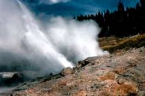 This recent but undated photo provided by the National Park Service shows Ledge Geyser in Yello ...