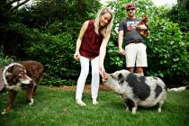 In this April 25, 2019 photo, a pig named Hamilton resides in Raleigh, N.C., with Kyle Eckenrod ...
