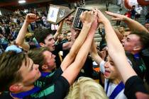 Palo Verde players celebrate their victory over Coronado in the Class 4A state volleyball champ ...