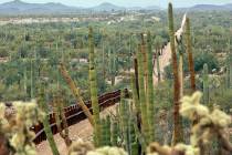 FILE - This Feb. 17, 2006 file photo shows a fence separating Organ Pipe Cactus National Monume ...