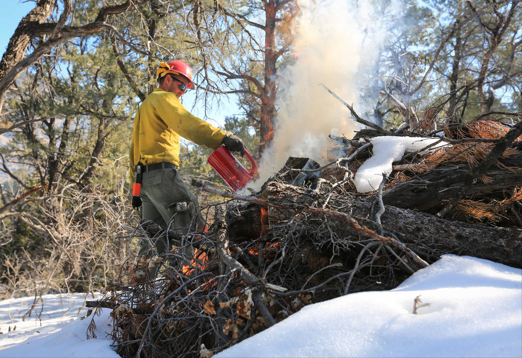 U.S. Forest Service Senior Firefighter Joel Presmyk, 26, starts a prescribed burn with a drip t ...