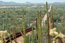 A fence separating Organ Pipe Cactus National Monument, right, and Sonyota, Mexico, is seen run ...