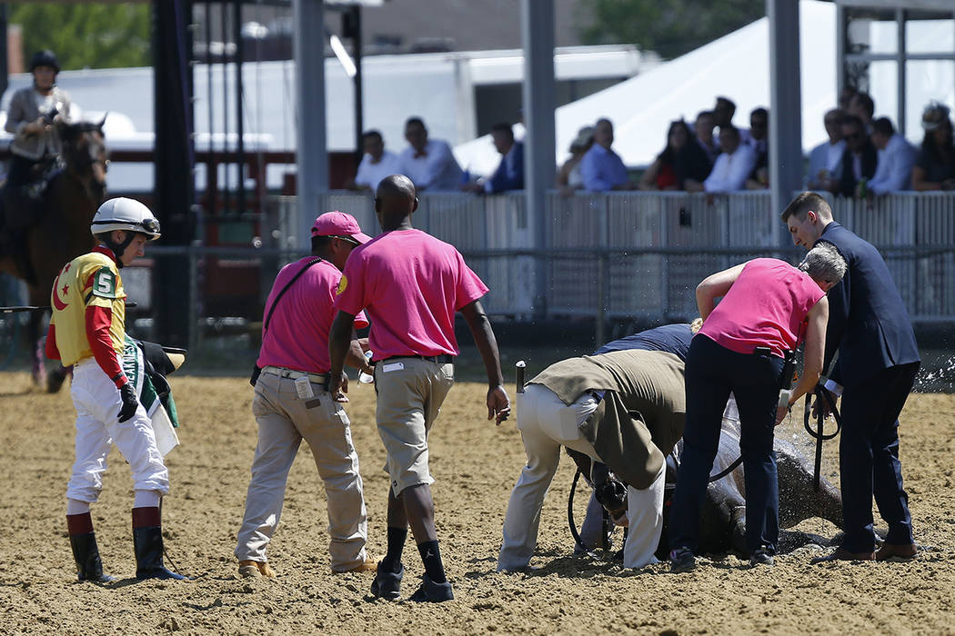 Jockey Trevor McCarthy, left, looks on as track officials tend to his ride Congrats Gal after t ...
