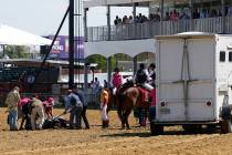 Track officials tend to Congrats Gal after the horse collapsed after the eighth horse race at P ...