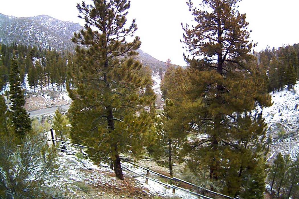 Snow fell on Mount Charleston, Monday, May 20, 2019. (Screengrab/Mt. Charleston Weather webcam)