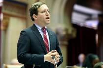 David Buchwald, D-Westchester, speaks to members of the New York state Assembly in favor of leg ...